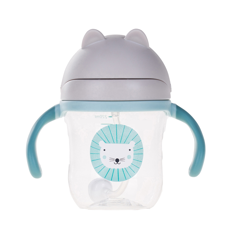 Baby Sippy Cup with Straw, Leak-Proof Drinking Bottle for Kids